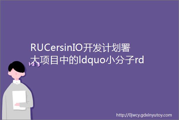RUCersinIO开发计划署大项目中的ldquo小分子rdquo